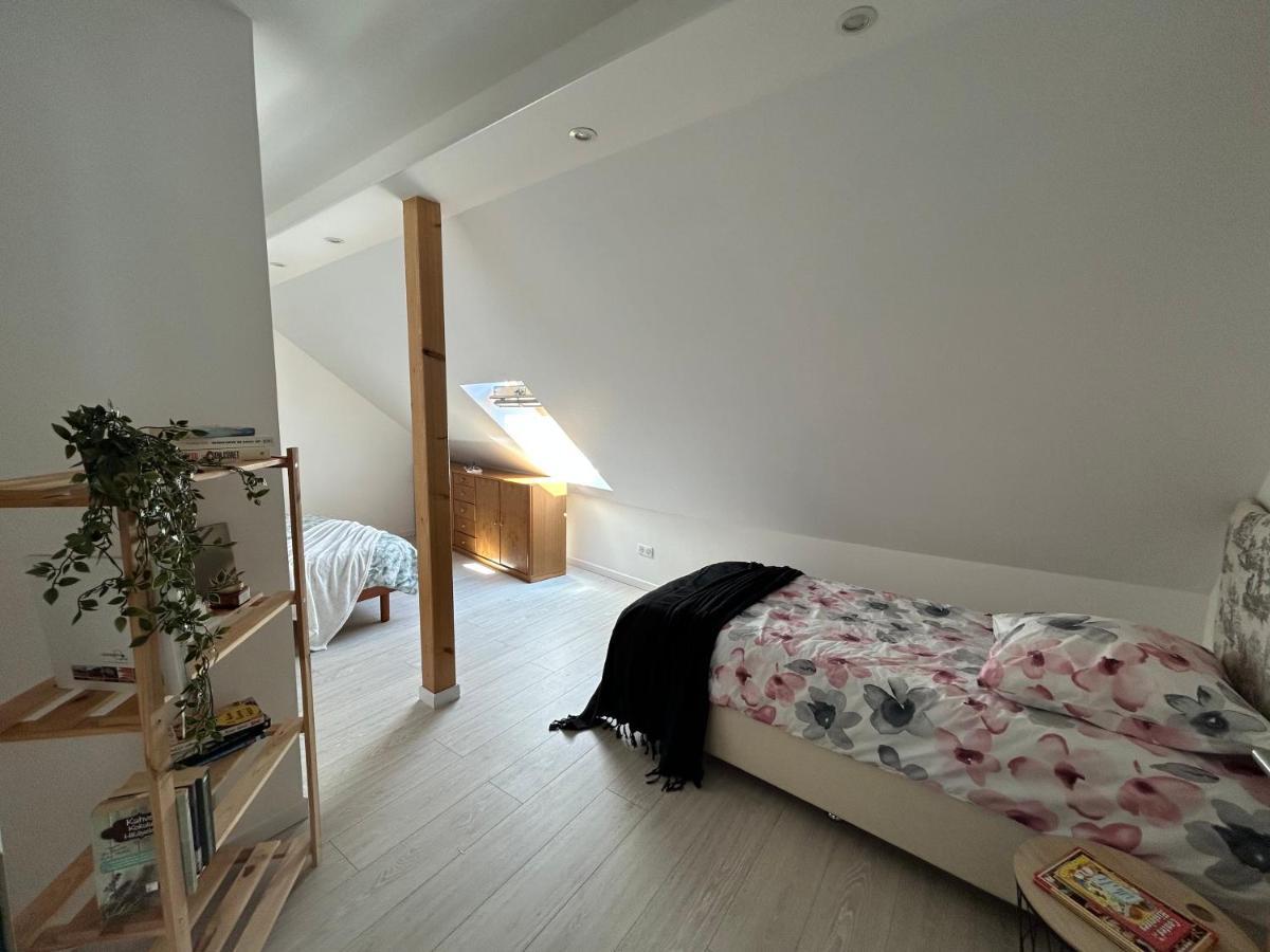 Gite Ma Maison * Kintzheim